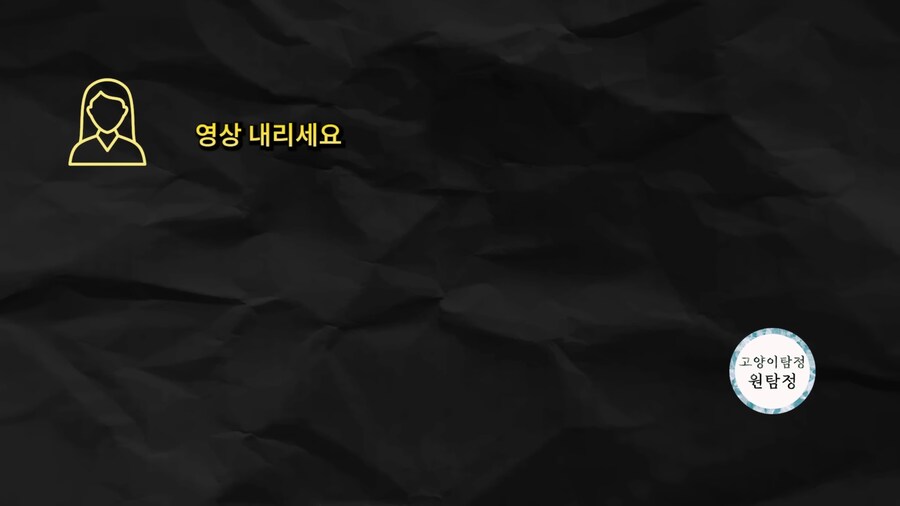 고양이 찾기 의뢰비용 20만원 먹튀 근황_2.jpg