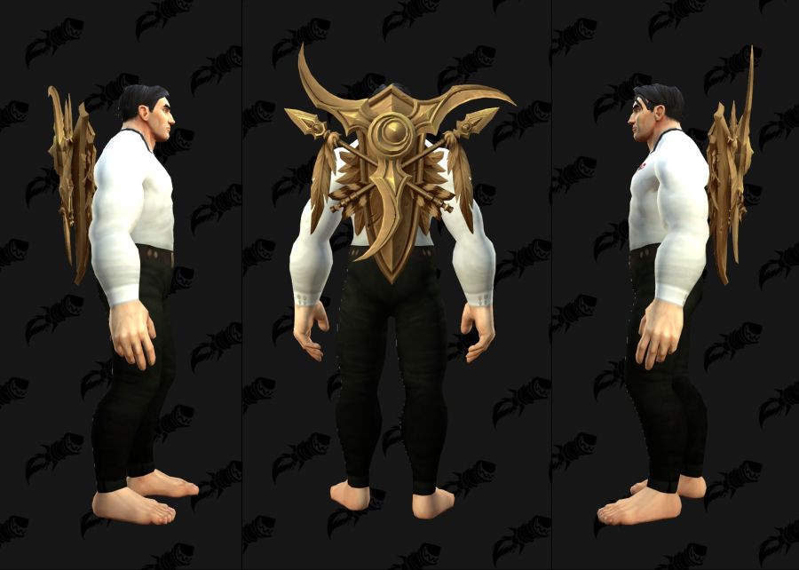 워크래프트 30주년 기념 월드 투어 굿즈 및 인게임 아이템들_3.jpg