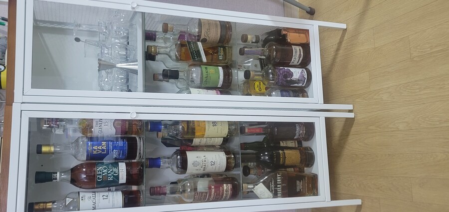 나 갑자기 극한의 힙스터이자 친구도 없이 사회랑 격리된 사람이 되버림_2.jpg