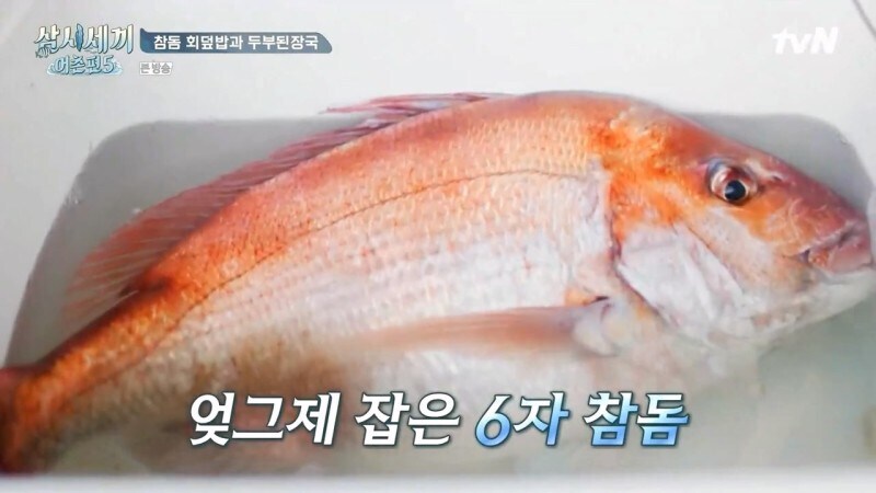 ㅅㅂ 물고기 한마리로 몆명이 처먹는거야._1.jpg