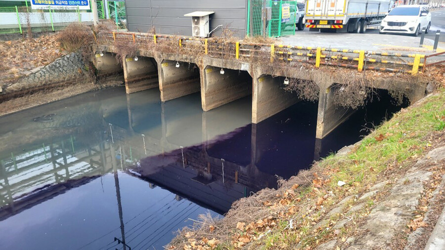 대구에서만 볼 수 있다는 알록달록 하천....jpg_2.jpg