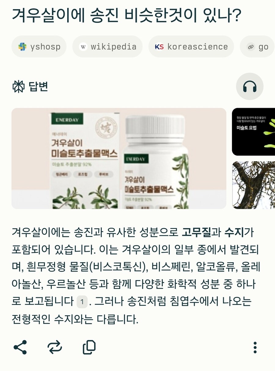 트릭컬) 겨우살이 맞는 듯_3.jpg