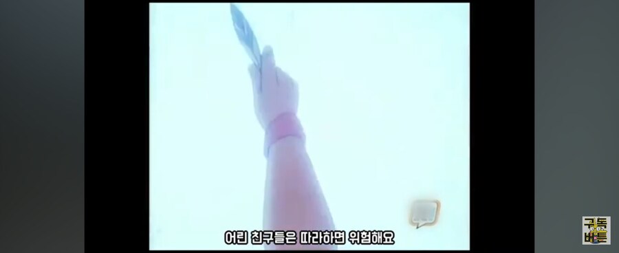 깃털 하나 꽂았다고 공기저항을 줄인다는게 말이 되냐?_3.jpg