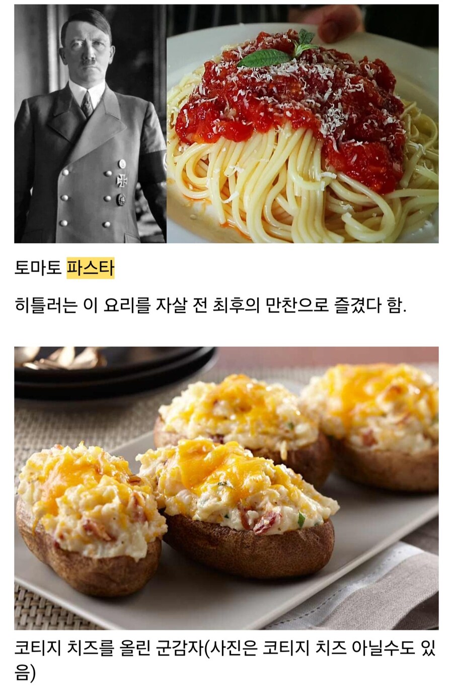 히틀러가 살아생전 좋아한 음식들.jpg_7.jpg