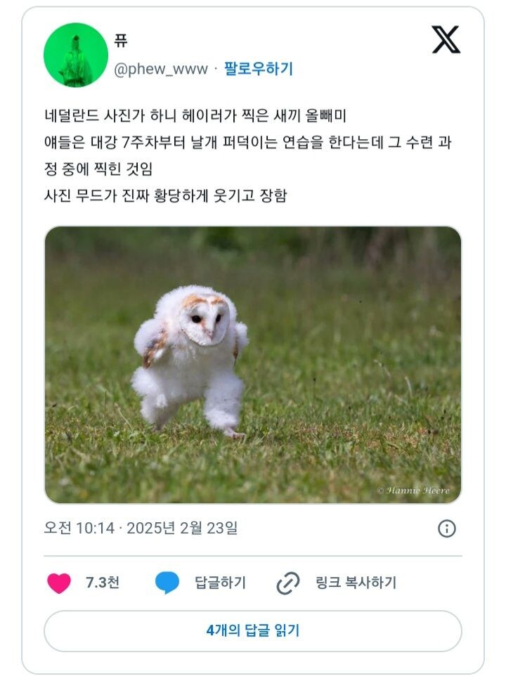 img/25/02/26/19540e45c8516002d.jpg