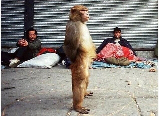 검은신화: 오공(2024) 히든엔딩_1.jpg