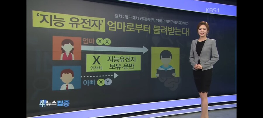 지능은 모계유전이 훨씬 크다.jpg_2.jpg