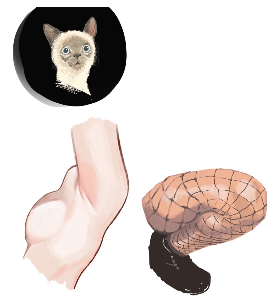 [추탭갈] 유게에서 좋아하는 거_1.jpg