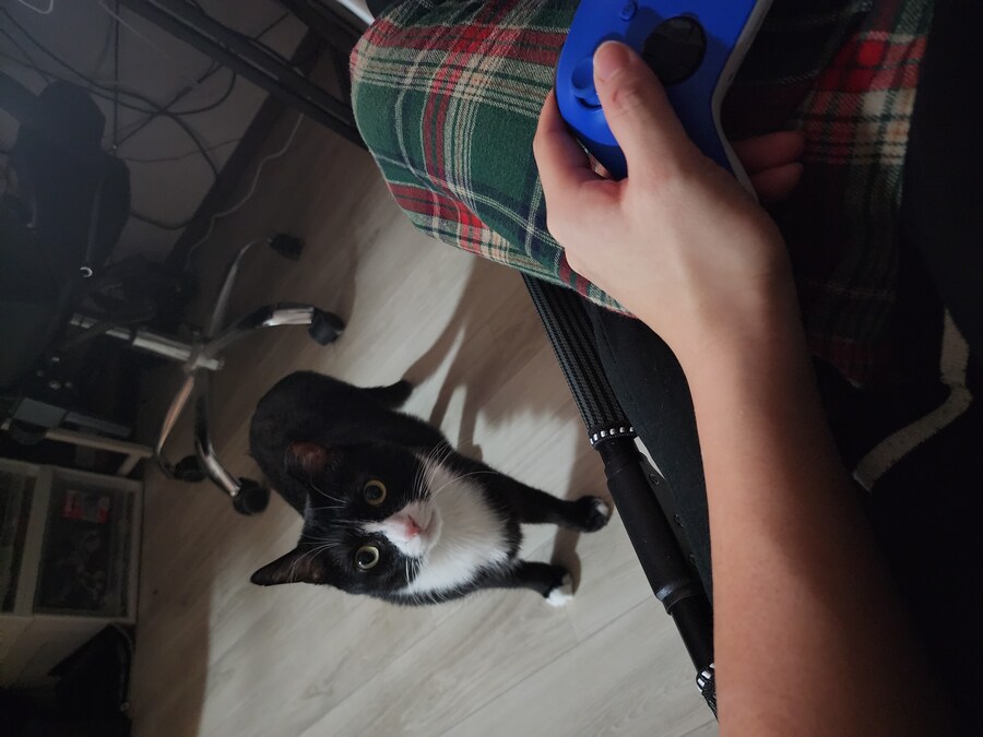 우리집 고양이 보고 출근해_32.jpg