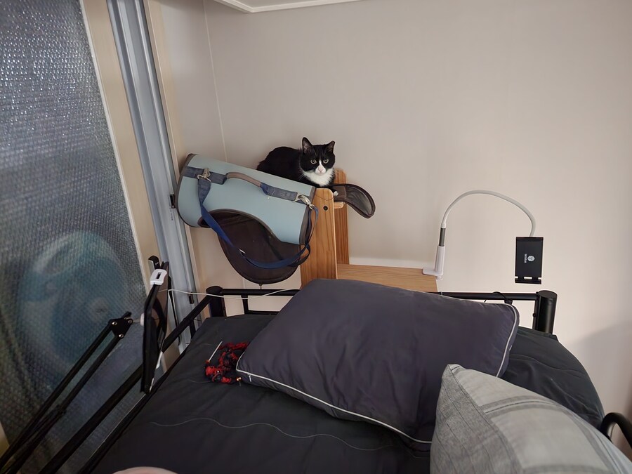 우리집 고양이 보고 출근해_34.jpg