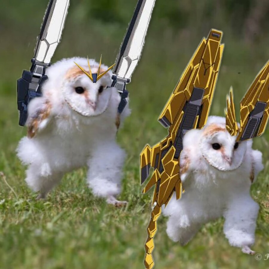 아니 이짤 자꾸 뭐가 나와ㅋㅋㅋㅋ_1.jpg