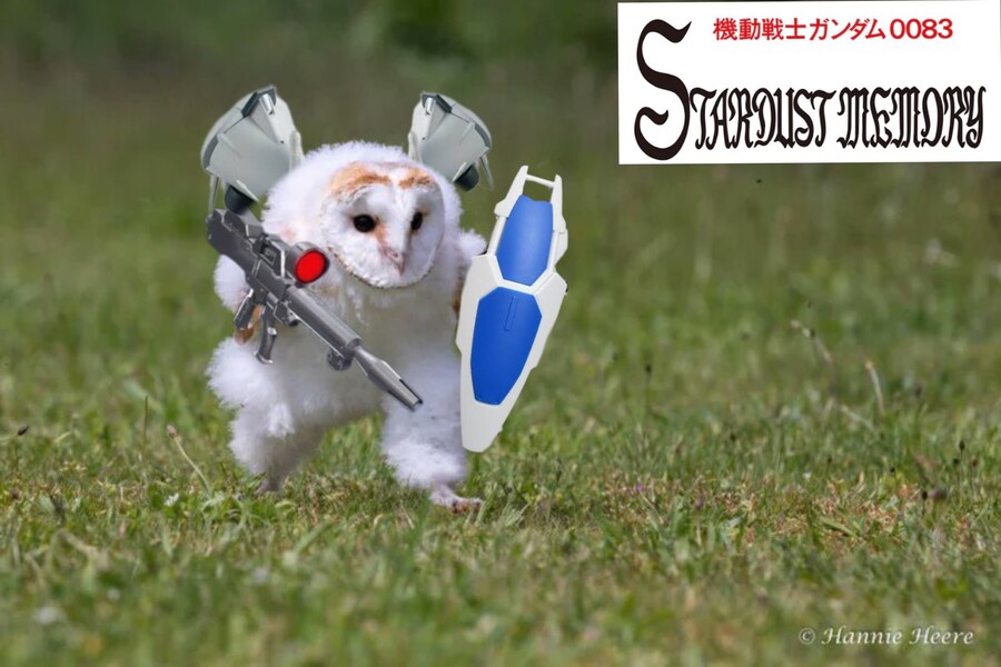 아니 이짤 자꾸 뭐가 나와ㅋㅋㅋㅋ_2.jpg