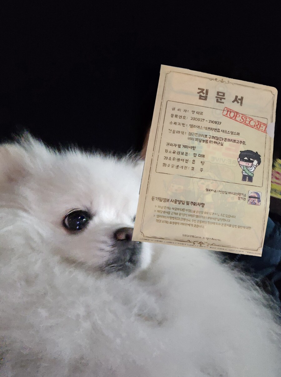 오늘 강아지 한마리 주웠다_2.jpg