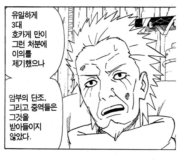 나루토 공식에서 어느정도 쉴드쳐주는 히루젠의 행적_4.jpg