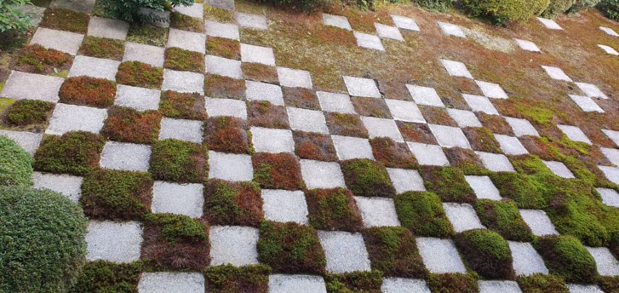 오사카 여행 4번째- 교토 깊숙히? 탐방~ 마지막ㅠ -스압-_43.jpg