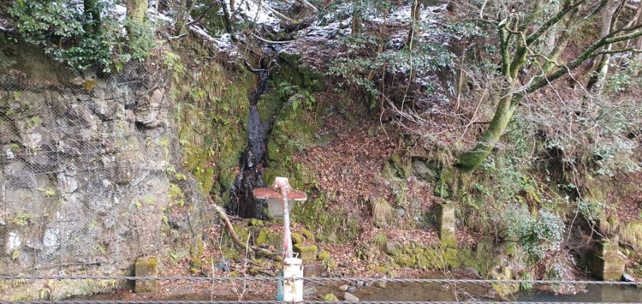 오사카 여행 4번째- 교토 깊숙히? 탐방~ 마지막ㅠ -스압-_54.jpg