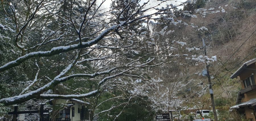 오사카 여행 4번째- 교토 깊숙히? 탐방~ 마지막ㅠ -스압-_59.jpg