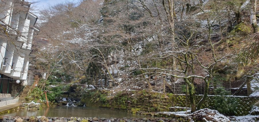 오사카 여행 4번째- 교토 깊숙히? 탐방~ 마지막ㅠ -스압-_72.jpg