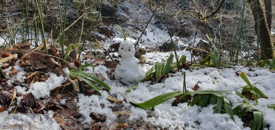 오사카 여행 4번째- 교토 깊숙히? 탐방~ 마지막ㅠ -스압-_77.jpg
