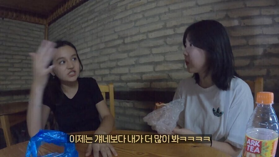 해외에서 진짜 나쁜짓을 하고 떠난 한국사람_12.jpg