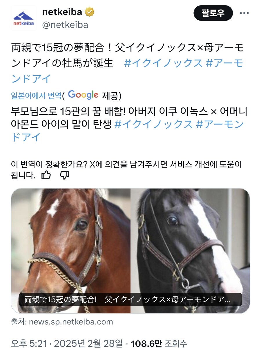 말딸 야짤이 금지된 이유_7.jpg