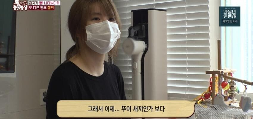 동물농장에 출연한 학계에 보고될 만한 초희귀 사례급 앵무새_24.jpg