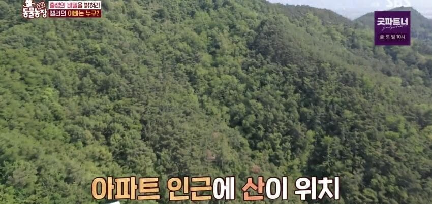 동물농장에 출연한 학계에 보고될 만한 초희귀 사례급 앵무새_30.jpg