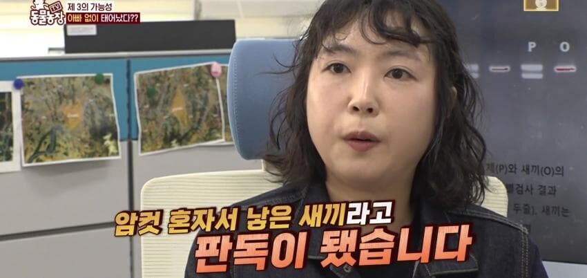동물농장에 출연한 학계에 보고될 만한 초희귀 사례급 앵무새_53.jpg