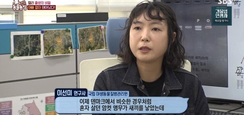 동물농장에 출연한 학계에 보고될 만한 초희귀 사례급 앵무새_57.jpg