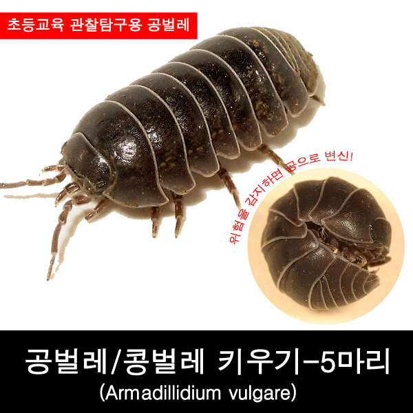 스포일러)내가 미키 17에서 본 것들_6.jpg