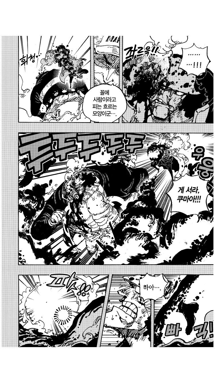 원피스 히바리가 아카이누 딸이라는 추측이 재밌는 이유_7.jpg