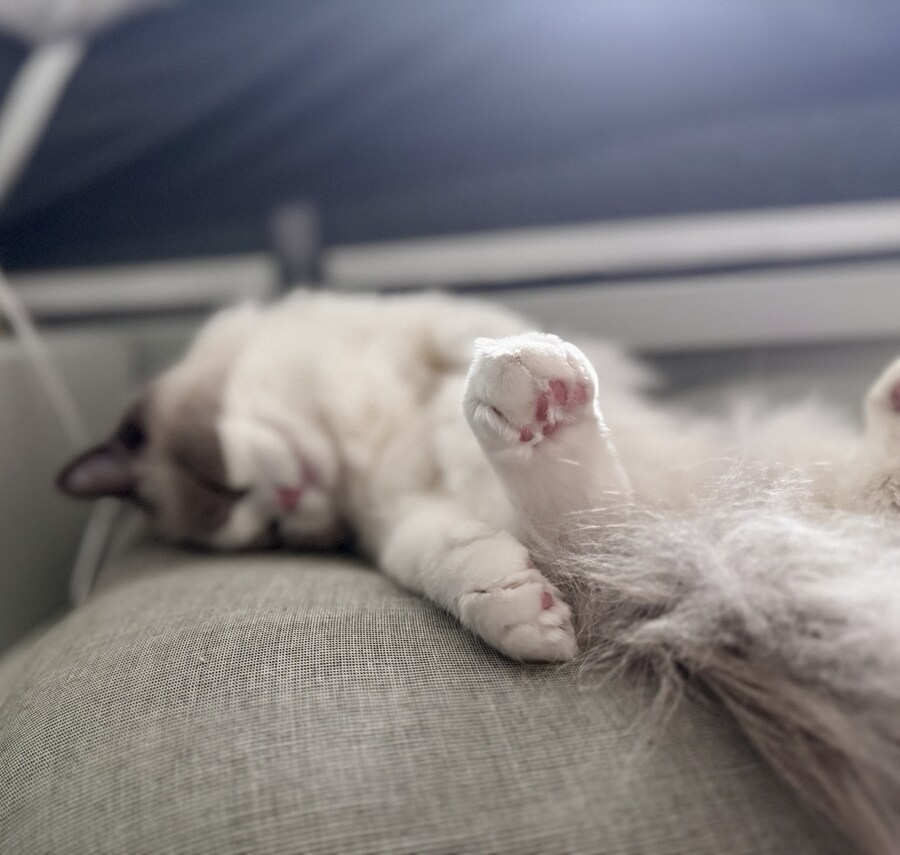 록희의 외출!_6.jpg