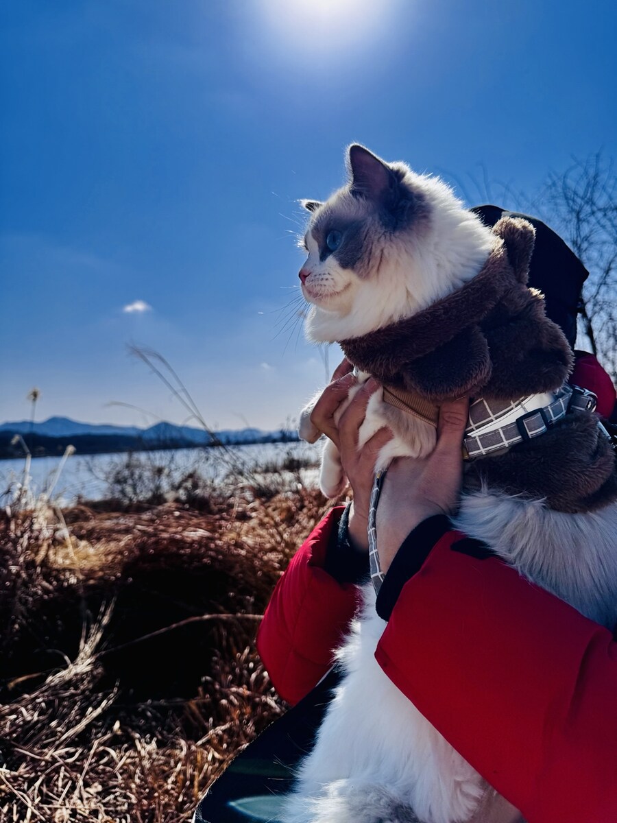 록희의 외출!_3.jpg