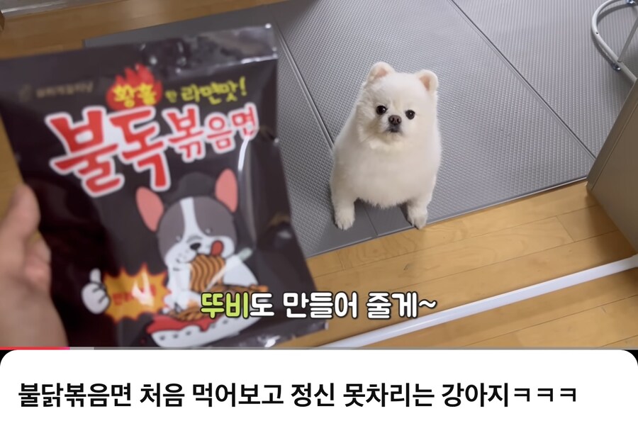 (불닭볶음) 먹고 난리나는 강아지.JPG_2.jpg