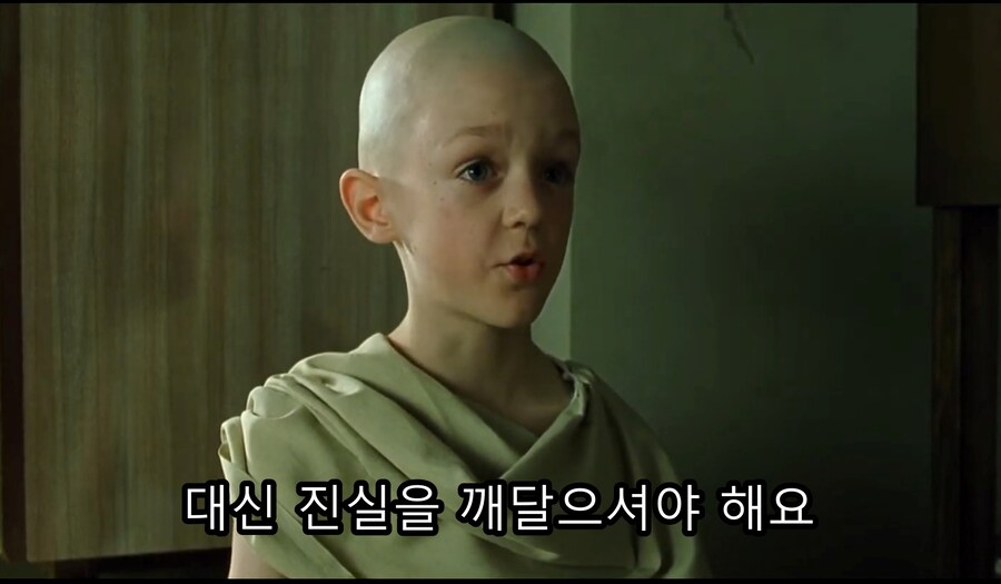 영화) 매트릭스 1편의 핵심 메세지 "숟가락은 없다"_19.jpg