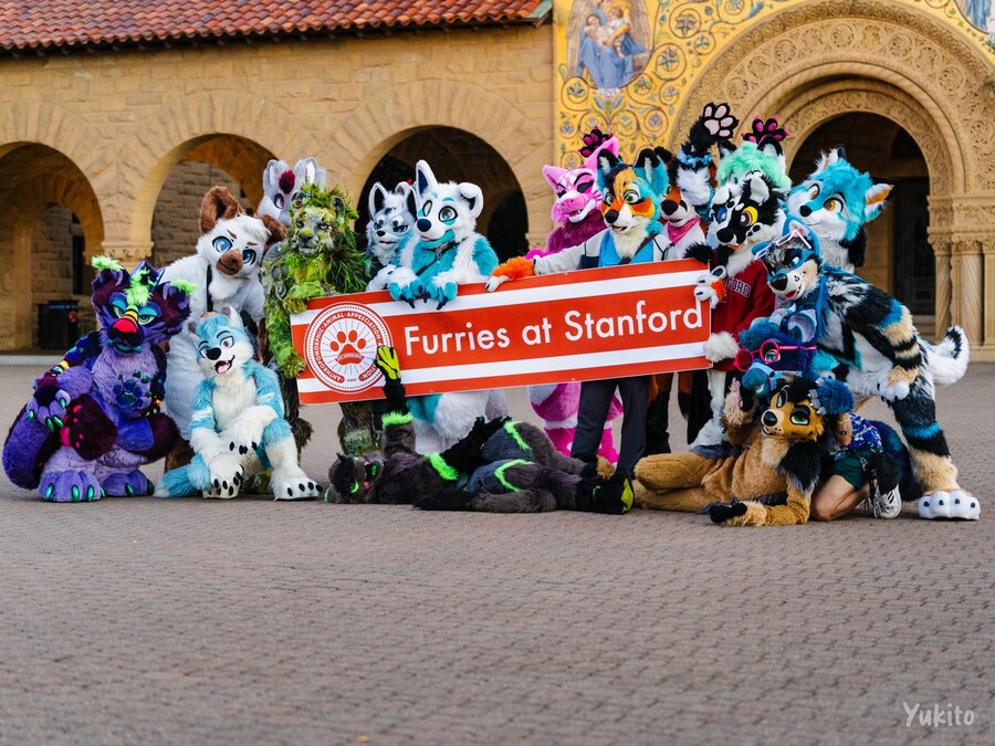 미국 스탠포드대의 수상한 근황.furry_1.png