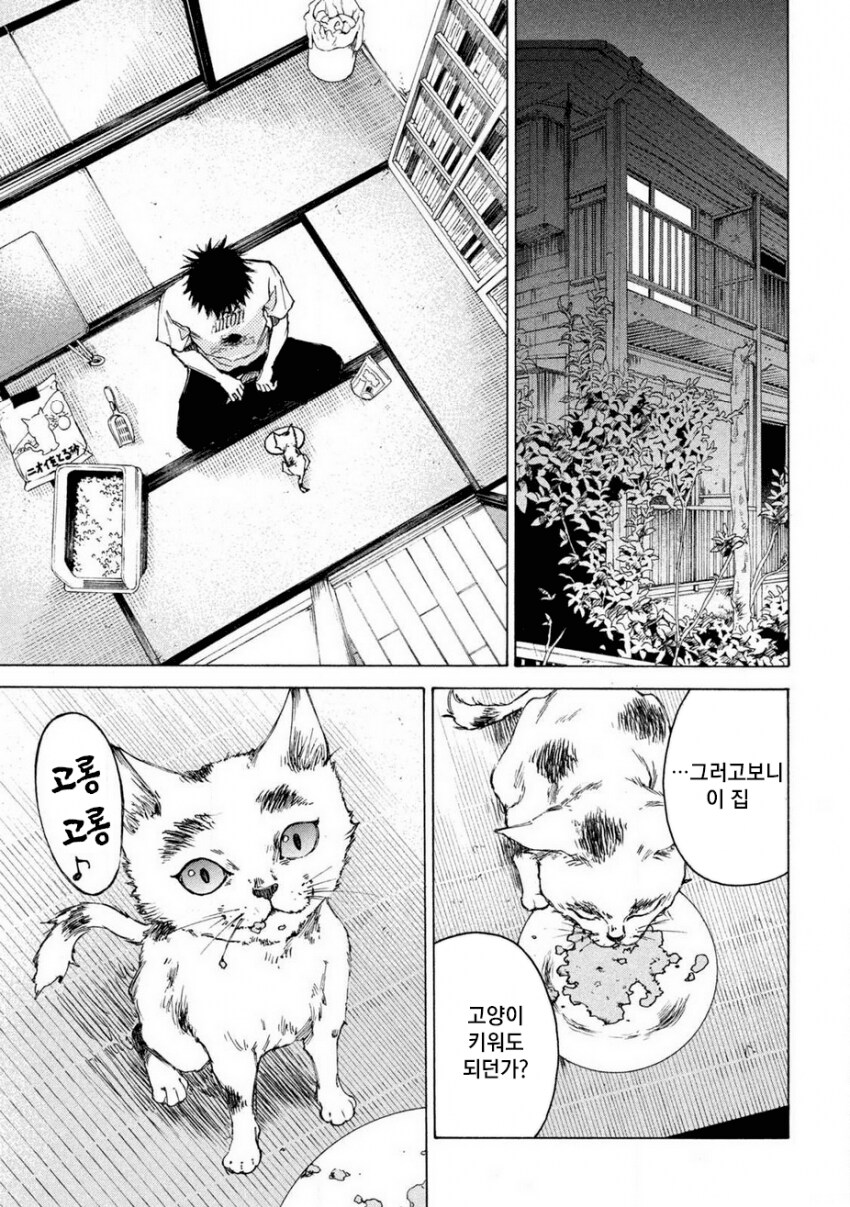 연쇄살인마를 잔혹히 죽이는 만화_51.png