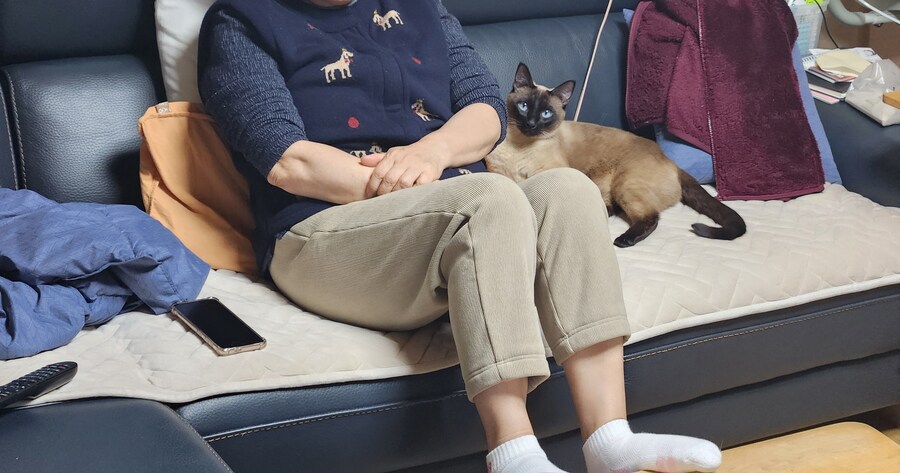 오해하지마 집사! 난 배신하지 않았어~~_7.jpg