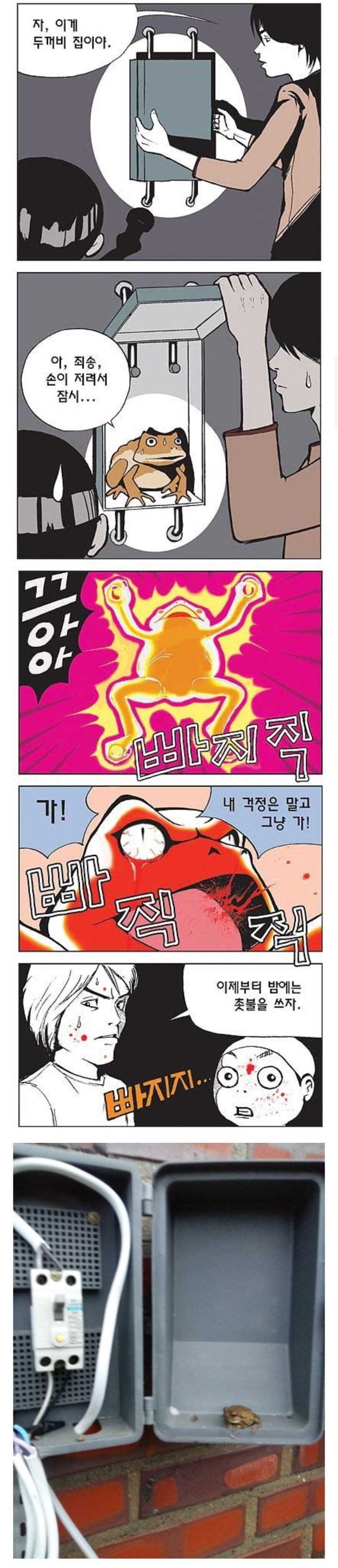 두꺼비집의 비밀_1.jpg