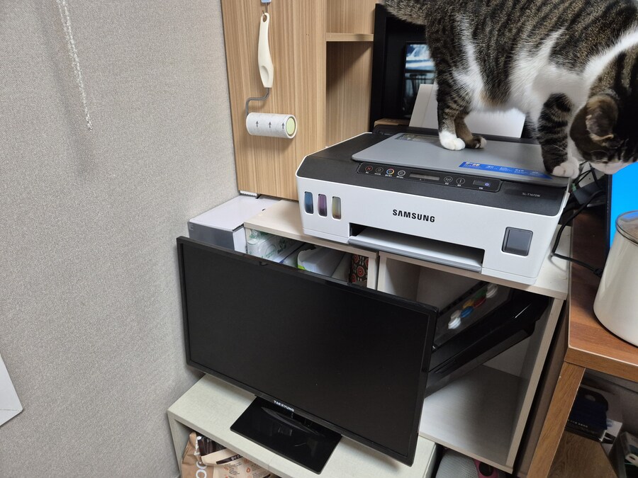 부자웹과 거리가 먼 평민웹의 소소한 게임방_3.jpg