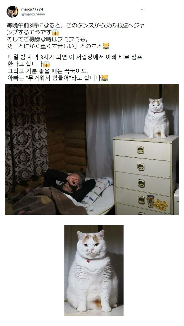 새벽 3시마다 찾아오는 공포.jpg_1.jpg