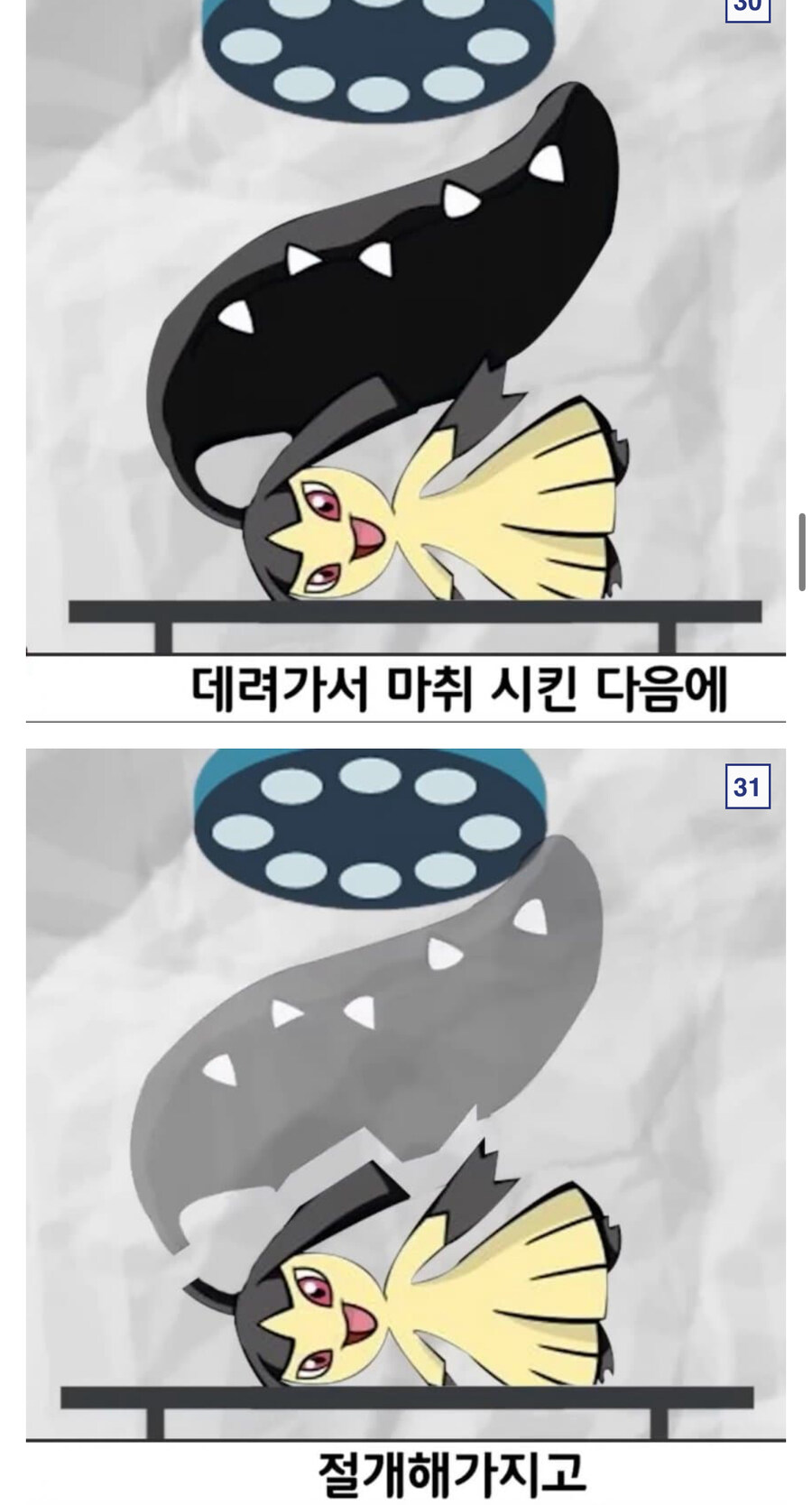 무섭고 섬뜩한 포켓몬도감 모음_11.jpg