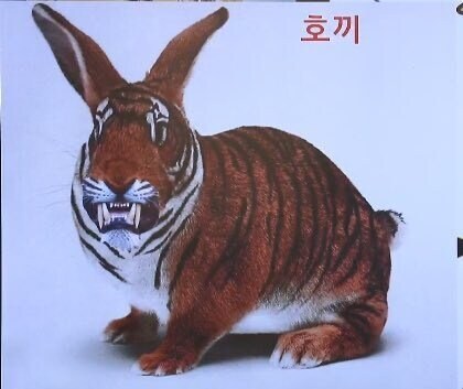 한반도 호랑이 토끼로 싸우지마세요_2.jpg