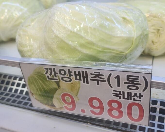 주식, 코인 보다 많이 오른 거_1.jpg