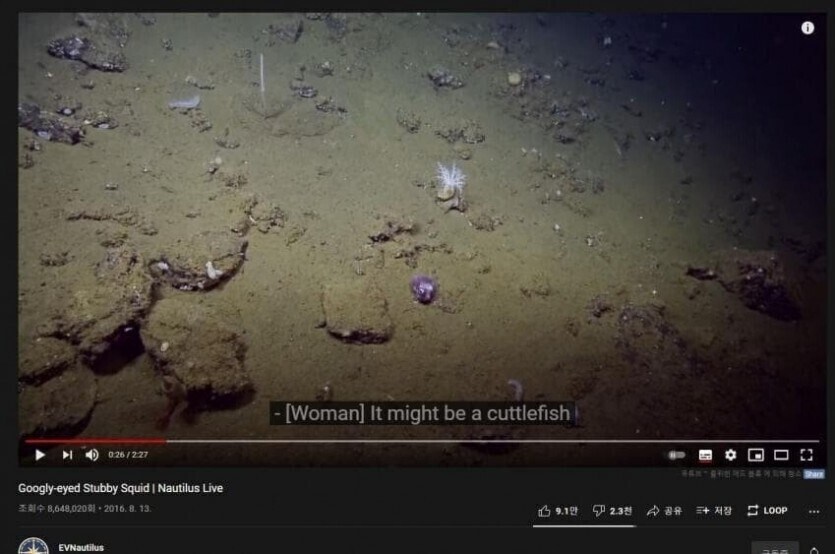 [분노] 바다속에도 만연한 개ㅈ같은 외모지상주의_4.jpg