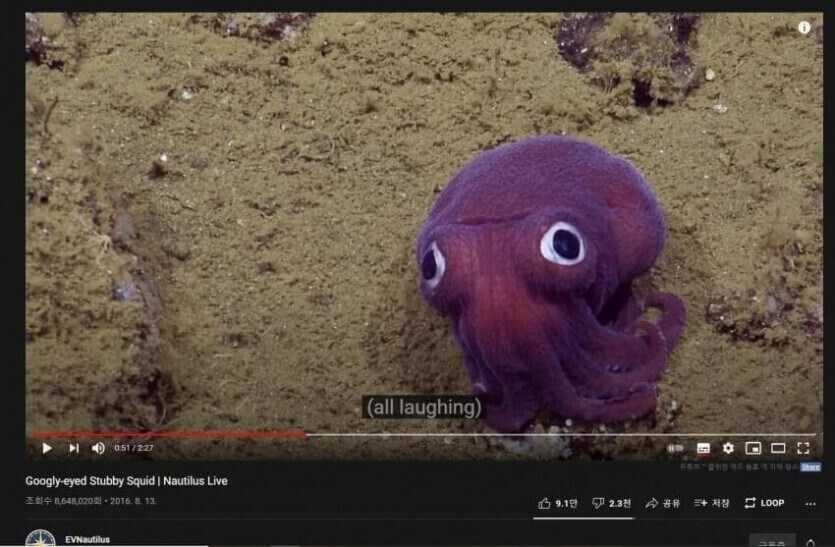 [분노] 바다속에도 만연한 개ㅈ같은 외모지상주의_5.jpg