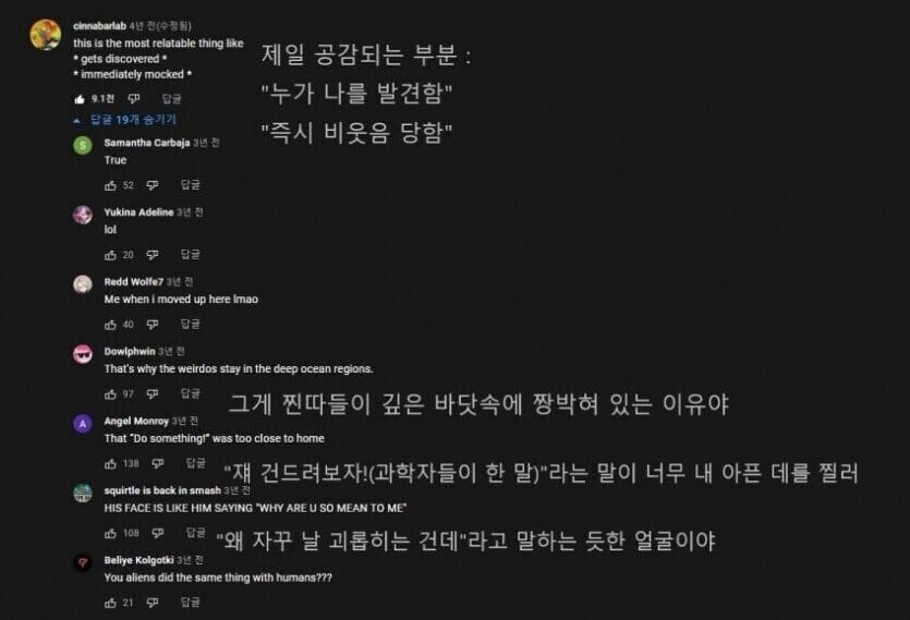 [분노] 바다속에도 만연한 개ㅈ같은 외모지상주의_8.jpg