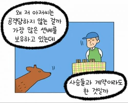 나라 사슴공원에서 센베 파는 아저씨는 멀쩡한 이유_1.webp