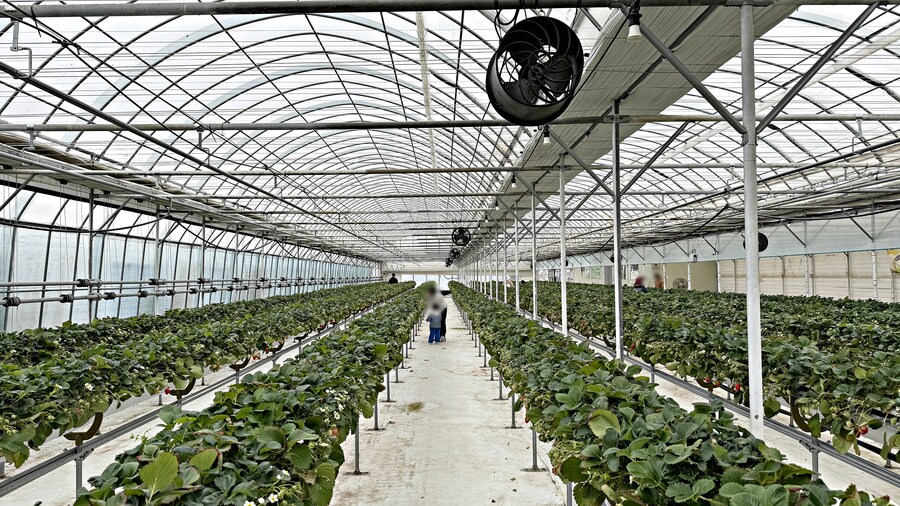 여행 다녀왔습니다 - 전북 전주_25.jpg