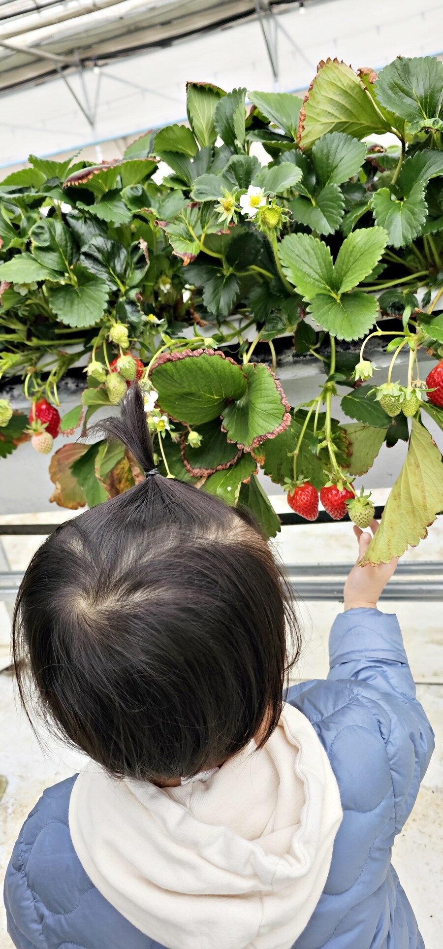 여행 다녀왔습니다 - 전북 전주_27.jpg